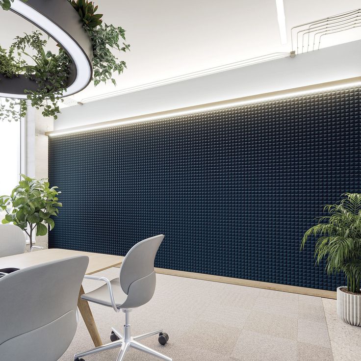 an office area with two white chairs and a plant hanging from the ceiling, in front of a blue wall