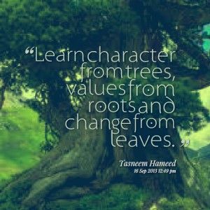 an image of a tree with a quote about learning from trees, value from roots and change from leaves