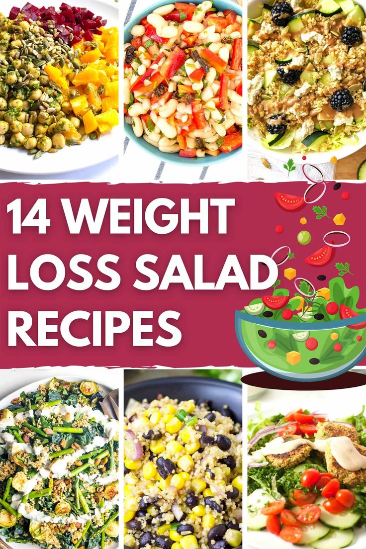 Biggest Loser Salad, Salad Recipes Low Calorie, Healthy High Protein Recipes, Freekeh Recipes, Salads Healthy, Low Calorie Salad, Beginner Henna, 2024 Recipes, Healthy High Protein Meals