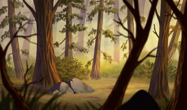 a person laying in the middle of a forest with trees and rocks on the ground