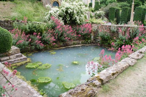 a pond in the middle of a garden filled with water lilies and pink flowers