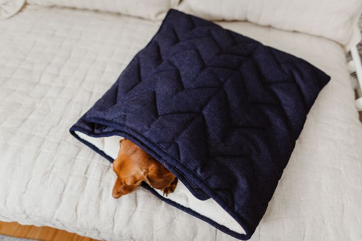 a brown dog laying under a blue blanket on top of a white bed covered in blankets