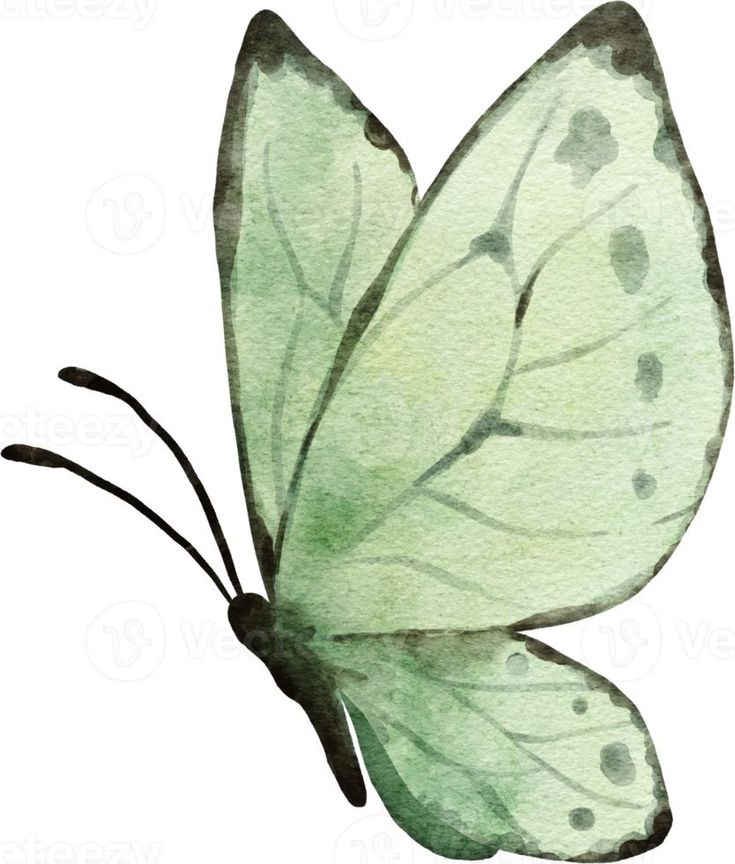 a watercolor painting of a green butterfly