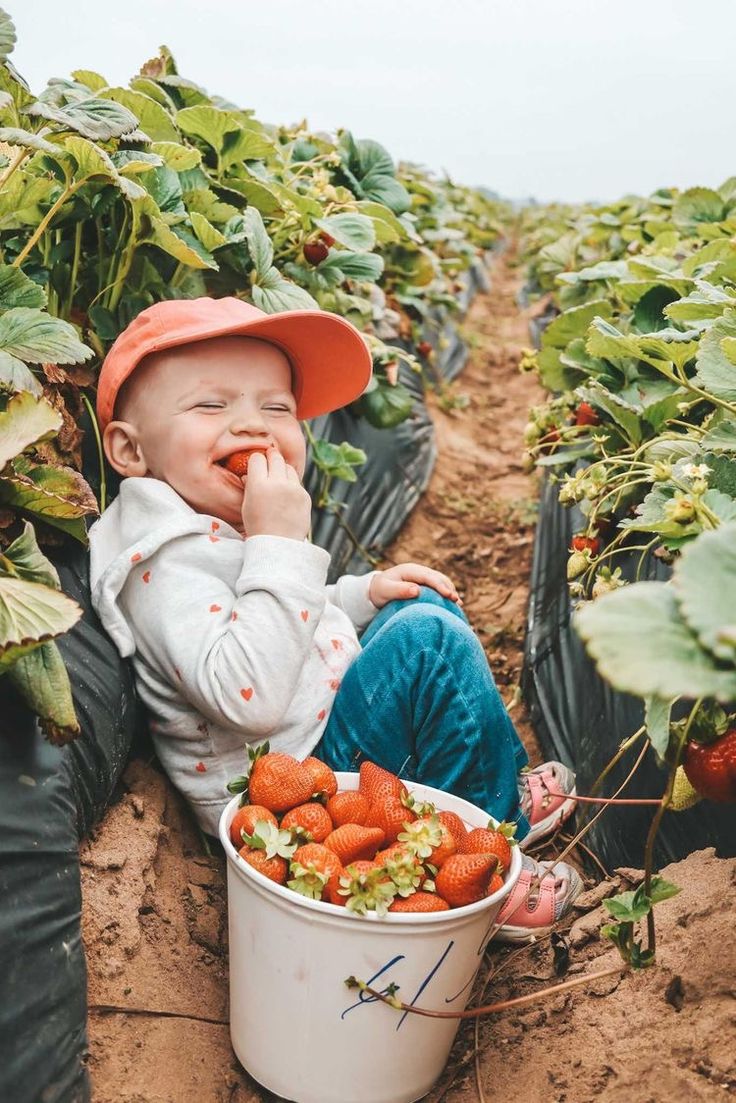 a baby is sitting in a bucket with strawberries on the ground and eating it