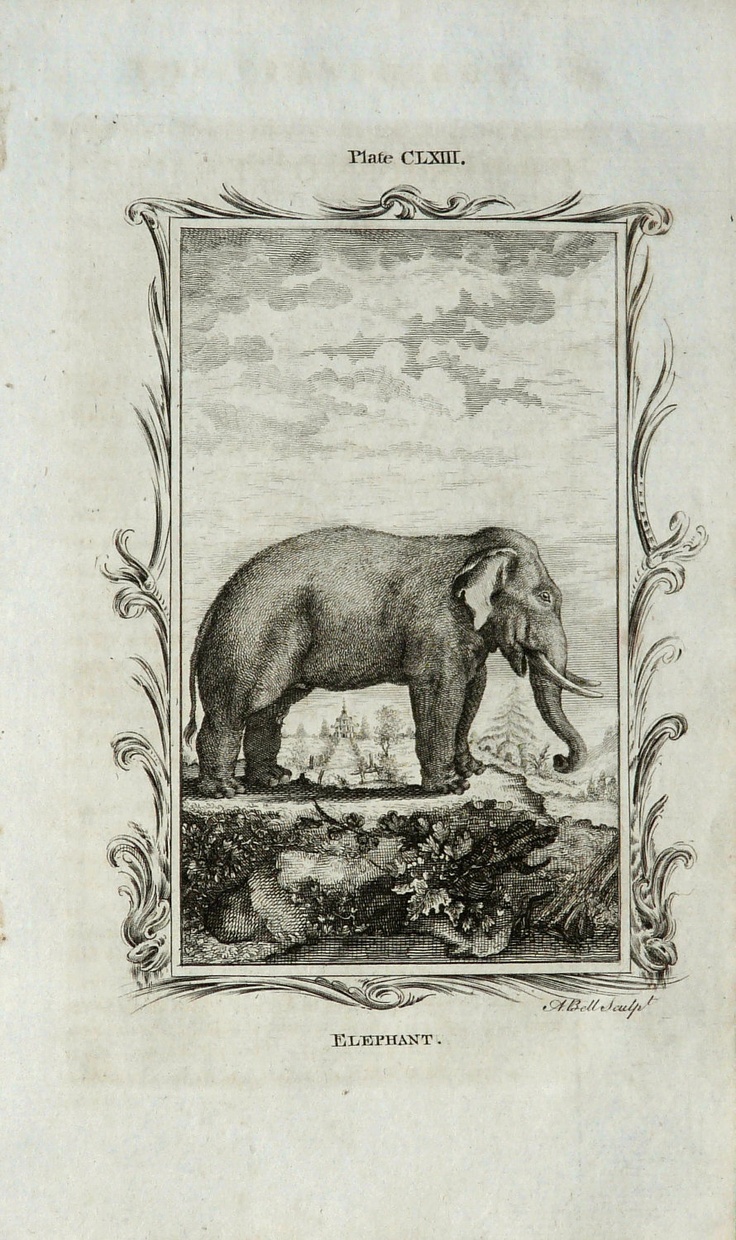 an elephant standing on top of a lush green field