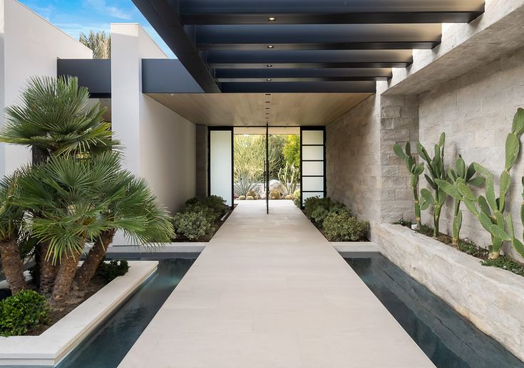 the entrance to a modern home with cactus and palm trees in the front yard area