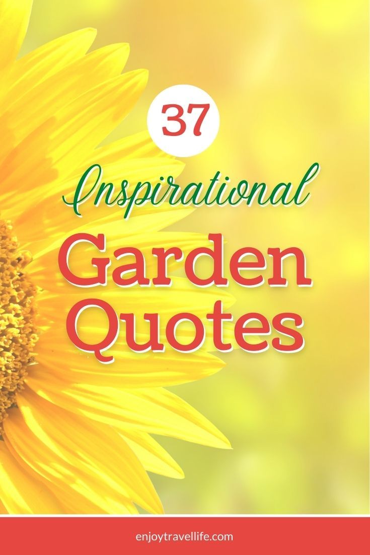 a sunflower with the words 37 inspirational garden quotes