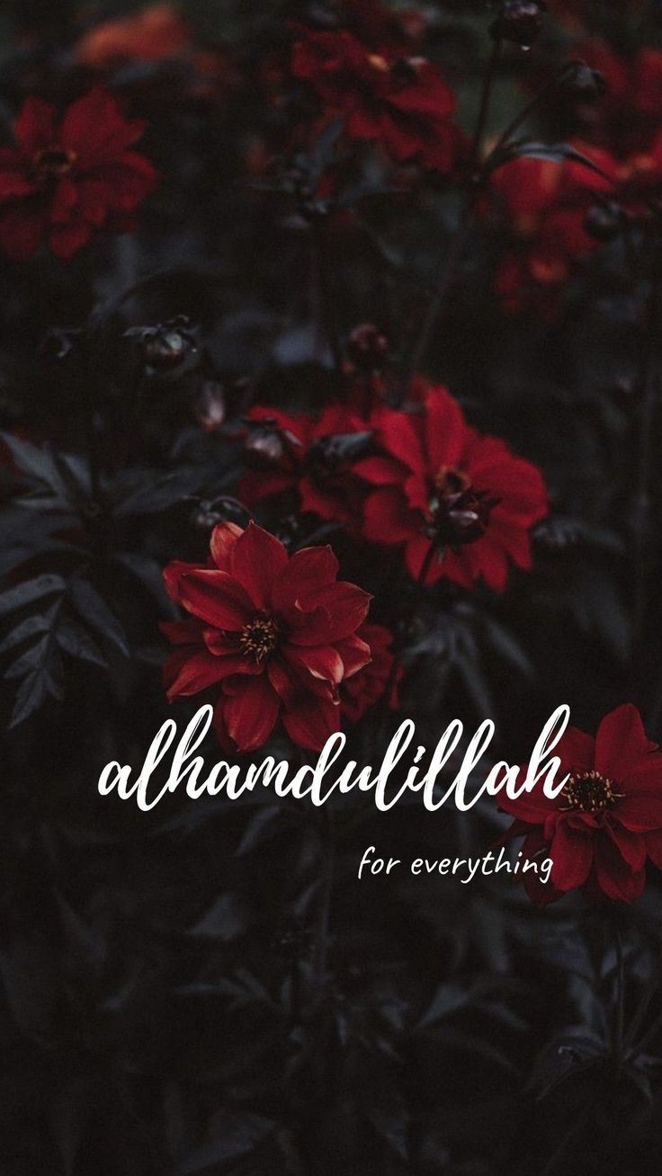 red flowers with the words, ahandulillillah for everything