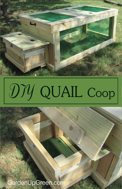 the diy quail coop is made out of wood and green plastic liners