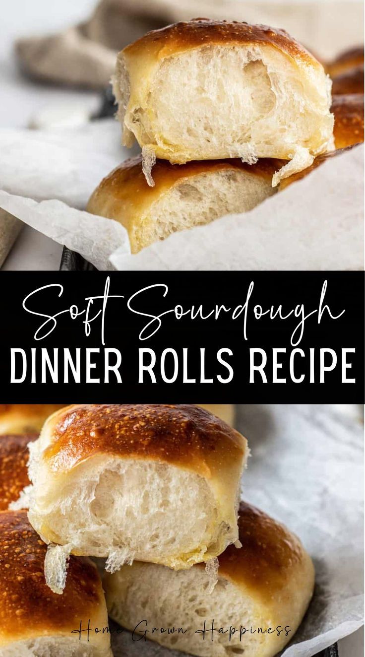 soft sourdough dinner rolls recipe with cheese on top