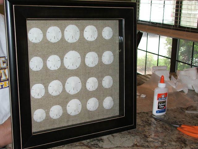 there is a framed picture with white sand dollars on it