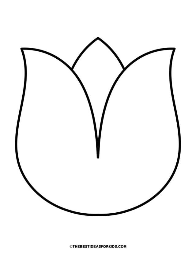 the outline of a tulip flower on a white background