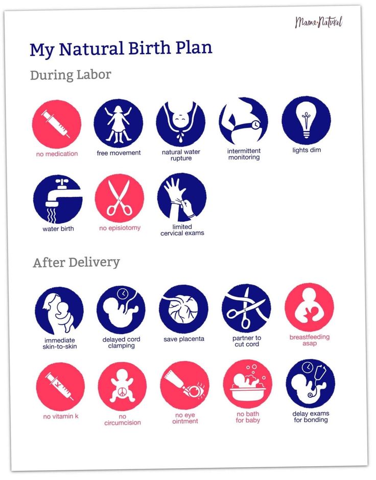 the birth plan is shown in red, white and blue with different symbols on it