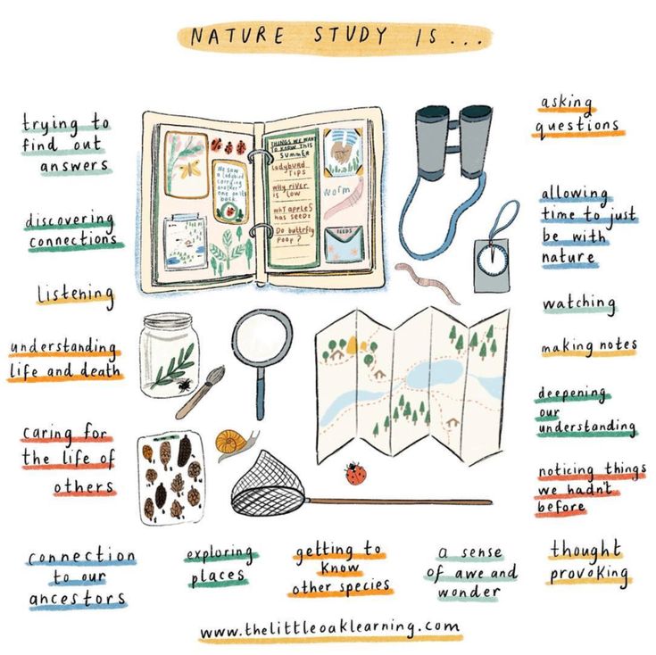 the contents of a nature study are shown in this hand - drawn illustration, which includes an open book, magnifying glass and other items