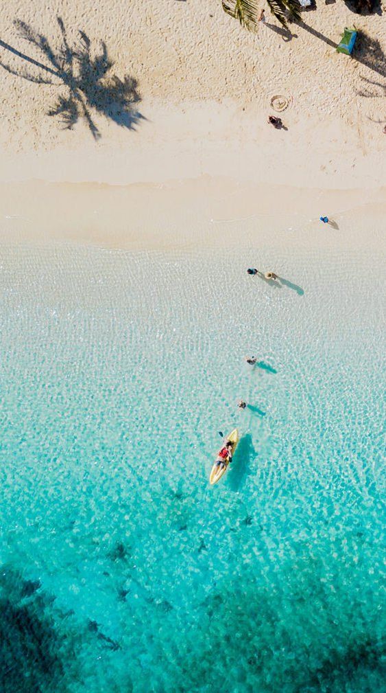 an aerial view of people in kayaks on the water near a beach with palm trees