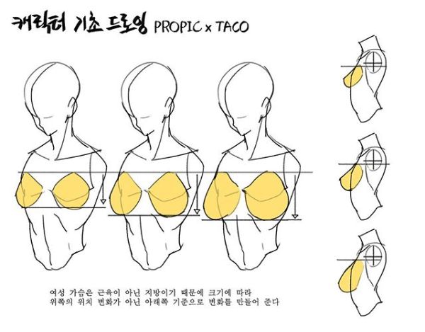 how to draw female torsos in different ways with pictures and text on the bottom