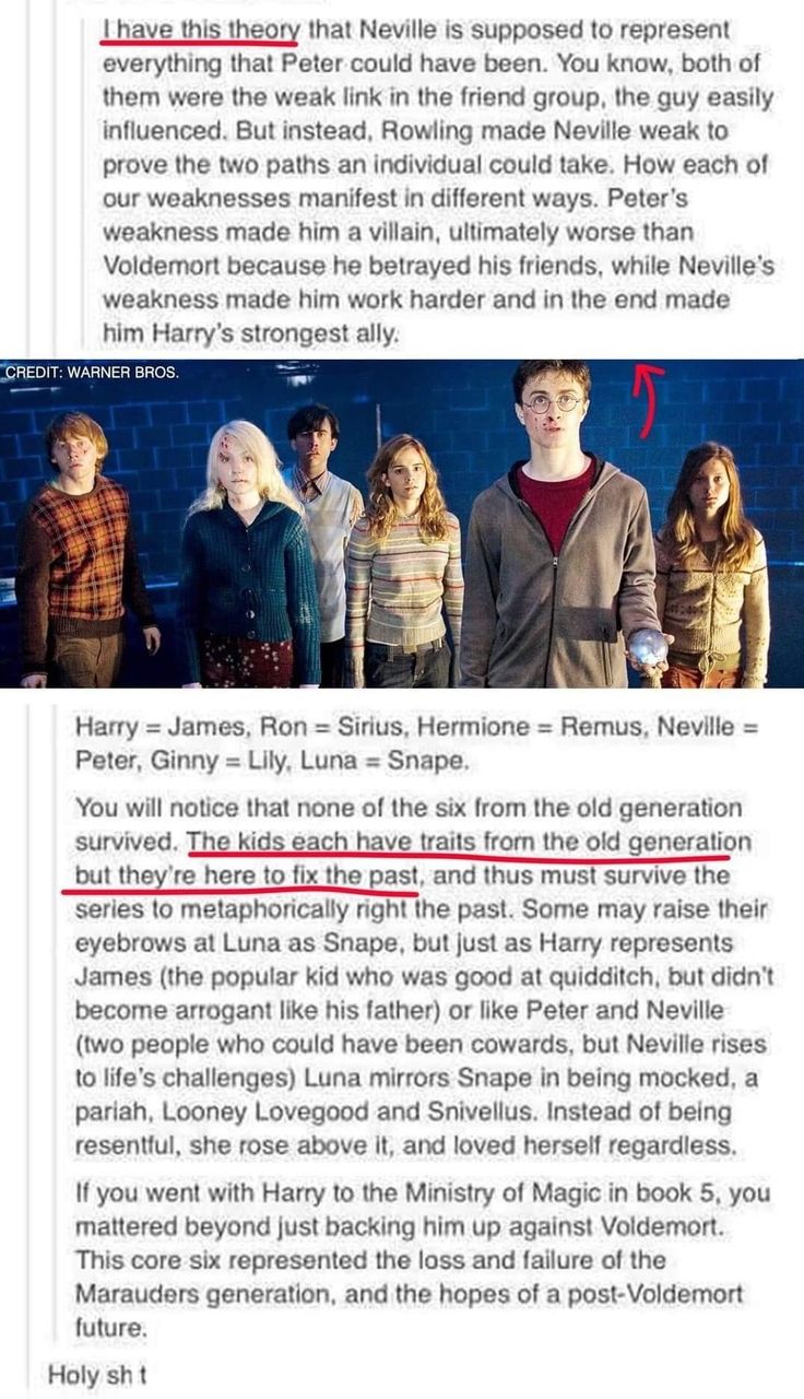 an article about harry potter and her friends