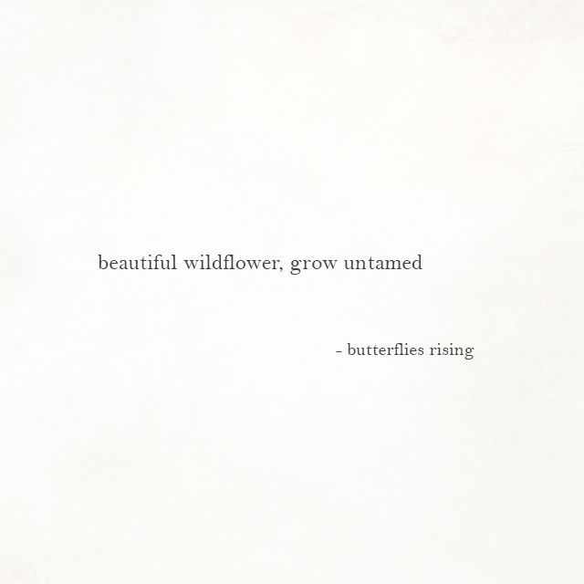 a white paper with the words beautiful wildflower, grow untamed but butterflies rising