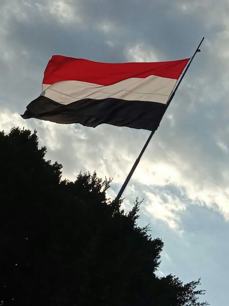 the flag is flying high in the sky with clouds behind it and some trees below