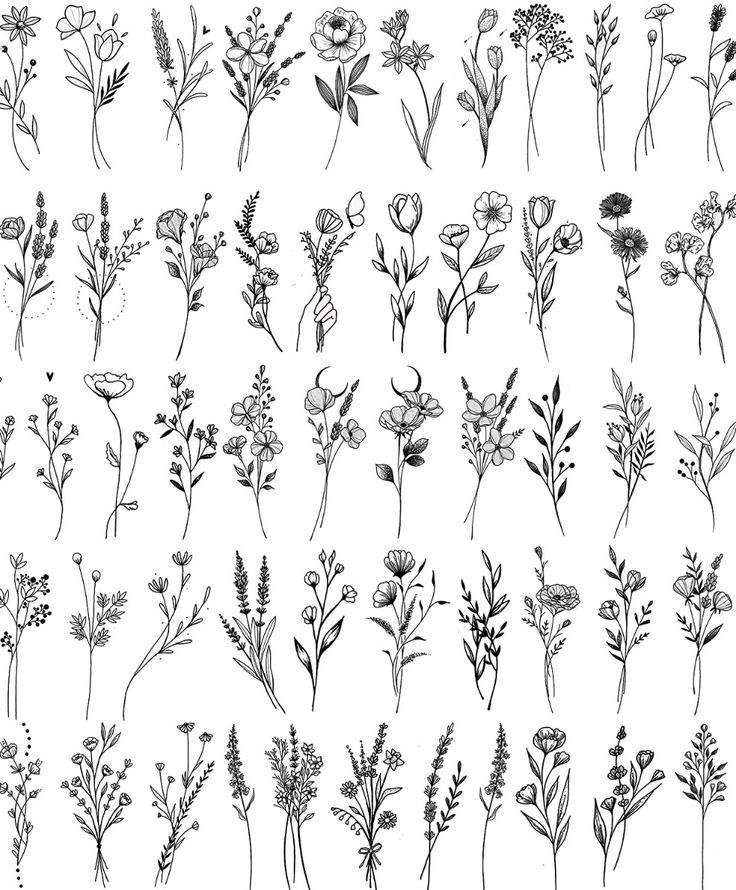 the various flowers are drawn in black and white