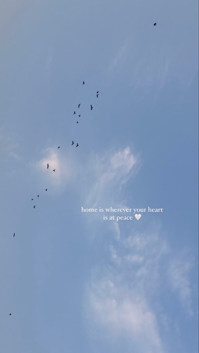 there are many birds flying in the blue sky and one is saying, home is wherever your heart