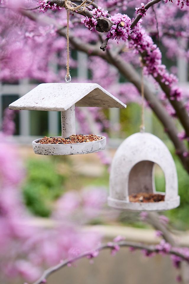 a bird feeder hanging from a tree with pink flowers