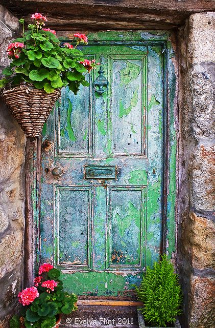 an old door with some flowers growing out of it and a basket on the front