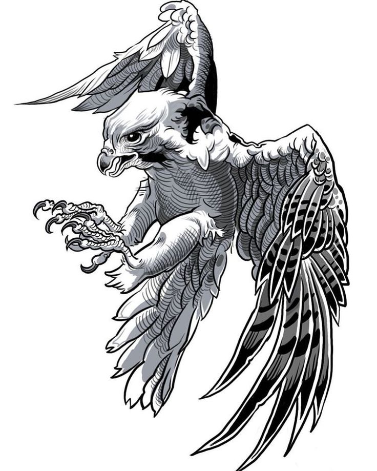 an eagle flying with its wings spread out and talons extended to the side, in black and white