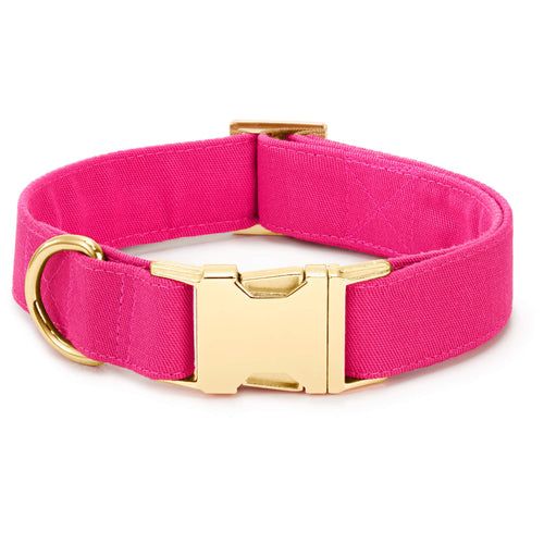 a bright pink collar with gold buckles and a metal clasp on the front of it