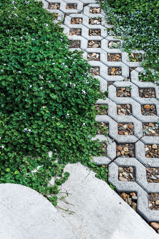 a walkway made out of cement blocks with plants growing on it