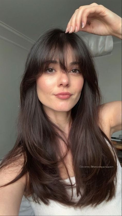 Dark Brown Bangs Hair, Bangs Hairstyles Brown Hair, Dark Brown Hair Cool Skin Tone, Italian Summer Hair, Full Bangs Haircut, Caramel Highlights With Bangs, Long Hair With Front Bangs, Hair Color Dark Brown With Highlights, Casual Wedding Guest Hair