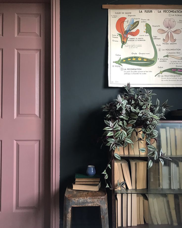 a room with a pink door, books and a plant on the floor in front of it