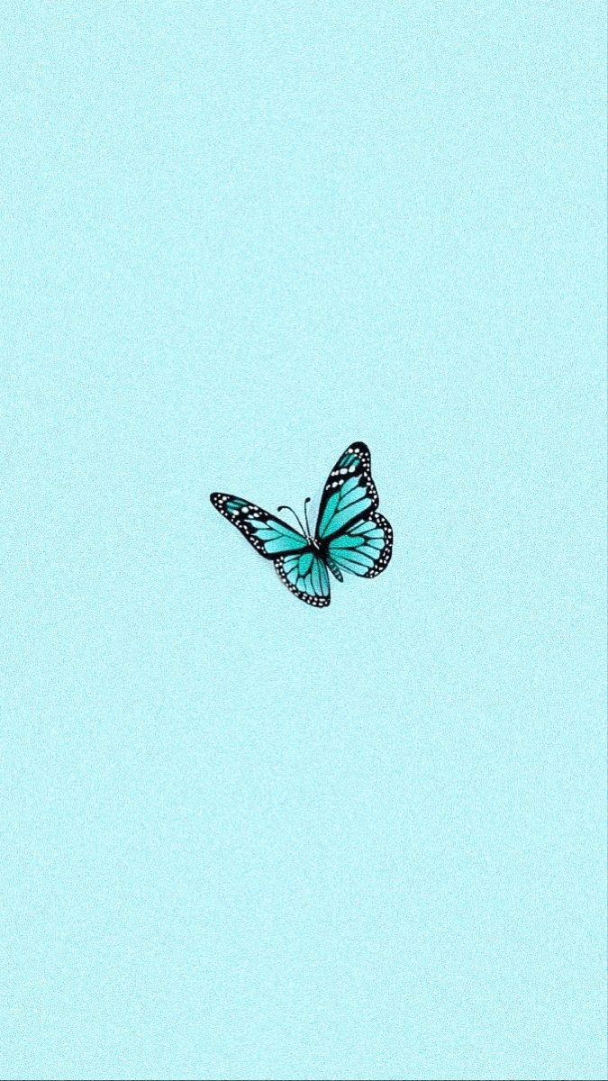 a blue butterfly flying in the sky