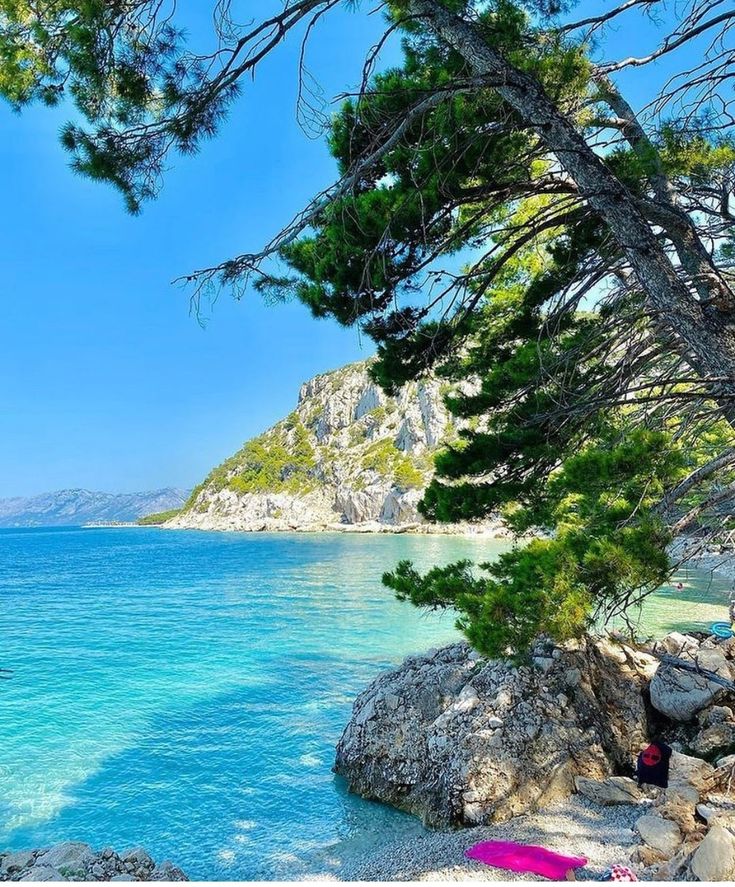 there is a beach with blue water and trees on the rocks in front of it