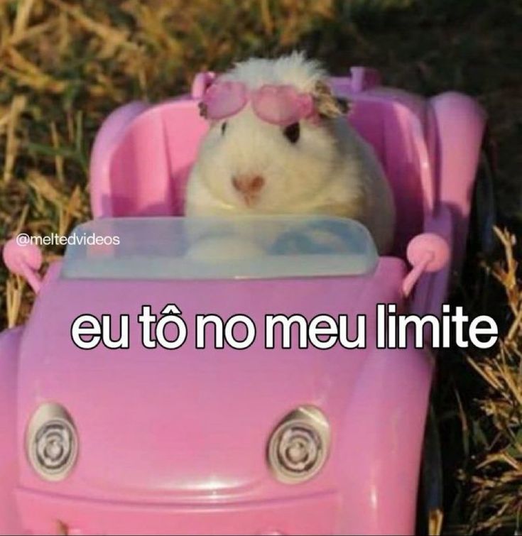 a hamster in a toy car with the caption saying, sai da frente eu to no meu limitie