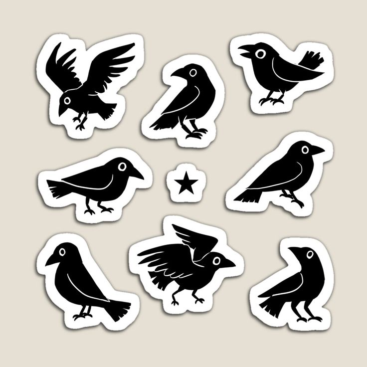 six stickers with different types of birds in black and white on a gray background