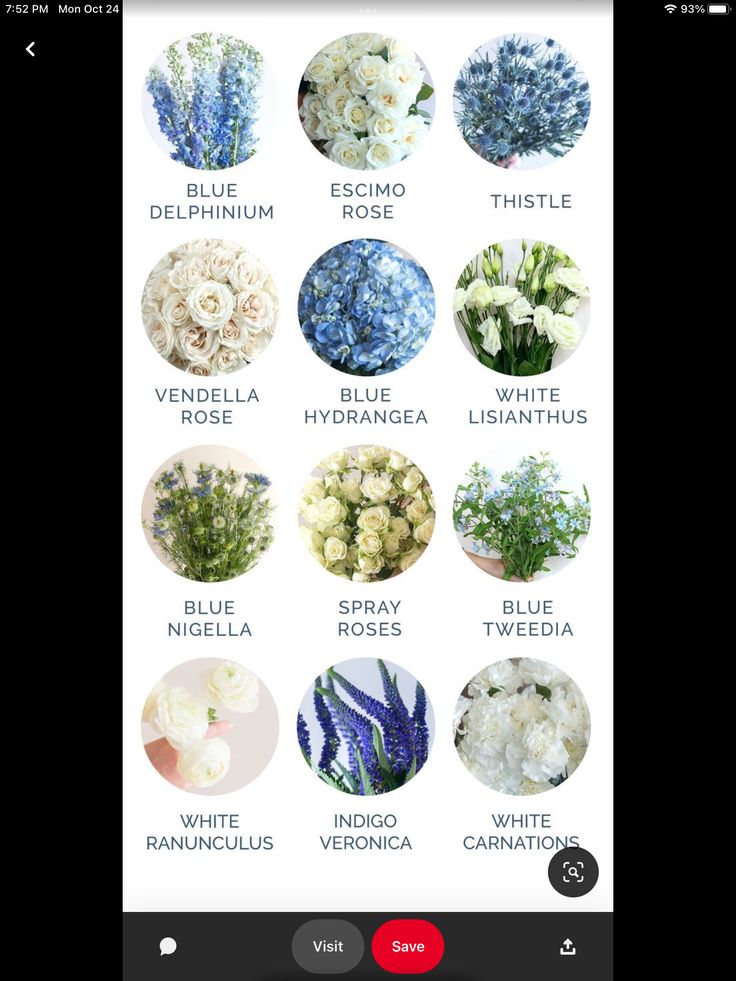 an iphone screen showing different types of flowers and their names on the phone's display