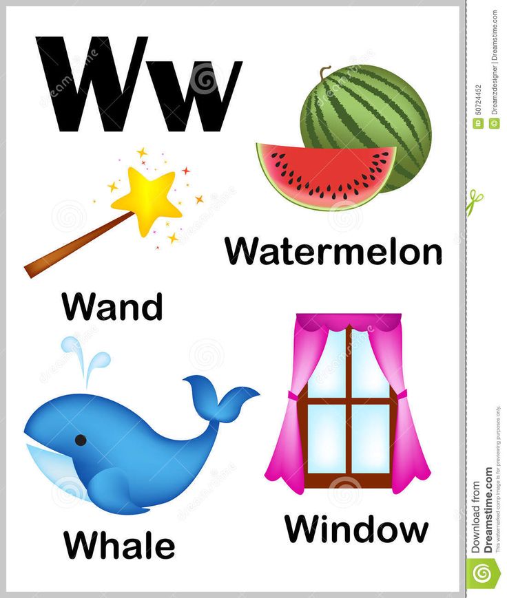 the letter w is for watermelon, whale, window and other things that are in