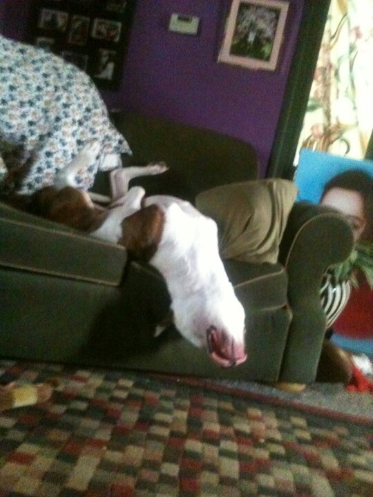 a dog laying on top of a couch in a living room next to a woman