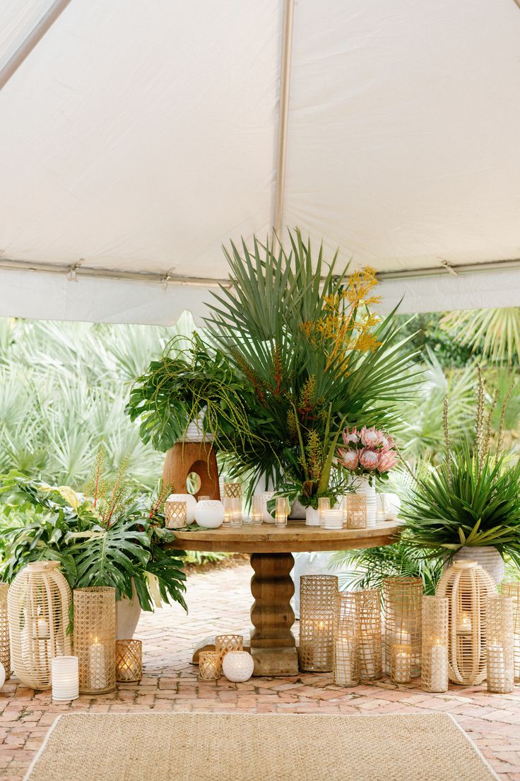 a table with potted plants and candles under a tent