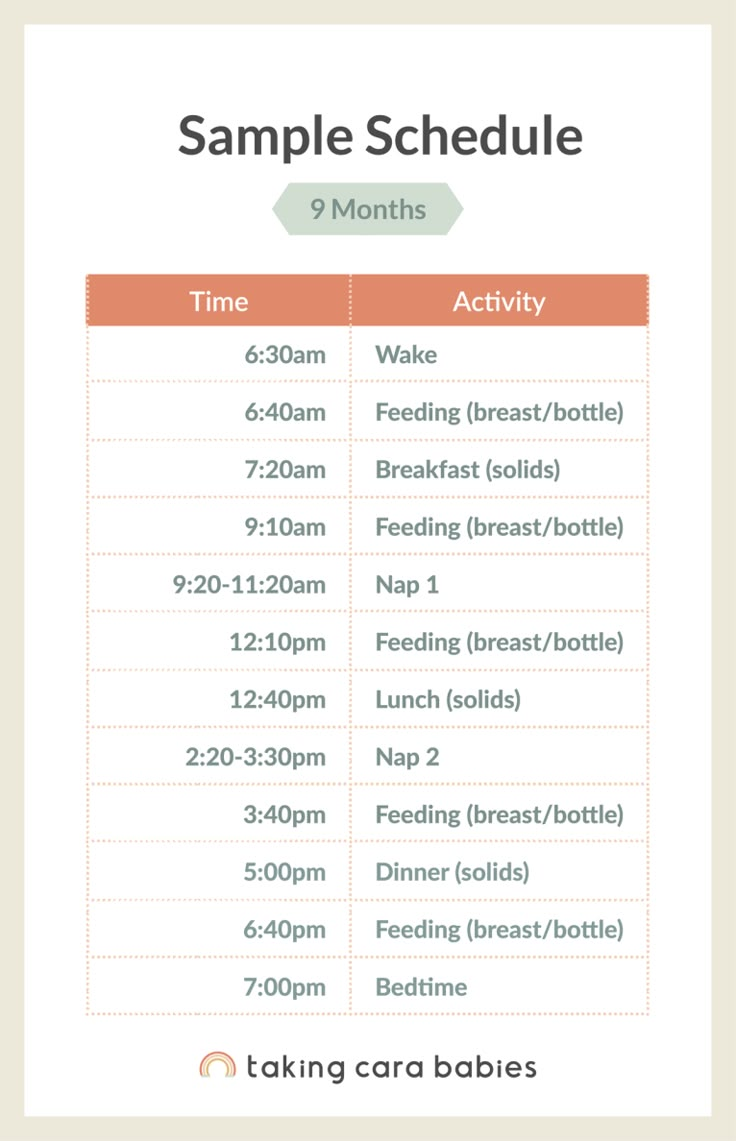 the sample schedule for each baby's feeding schedule