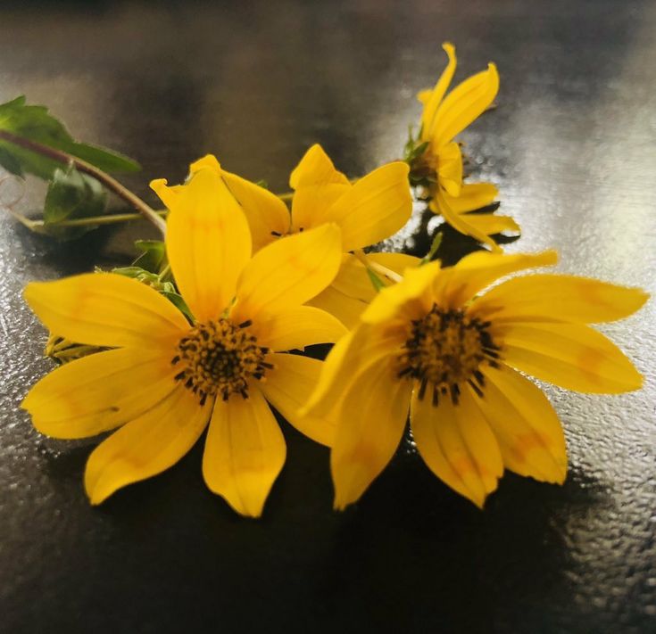 three yellow flowers sitting on top of a table