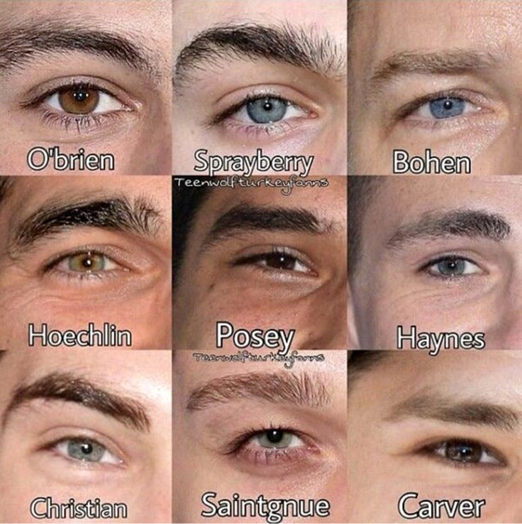 many different types of eyes are shown in this image, with the names above them