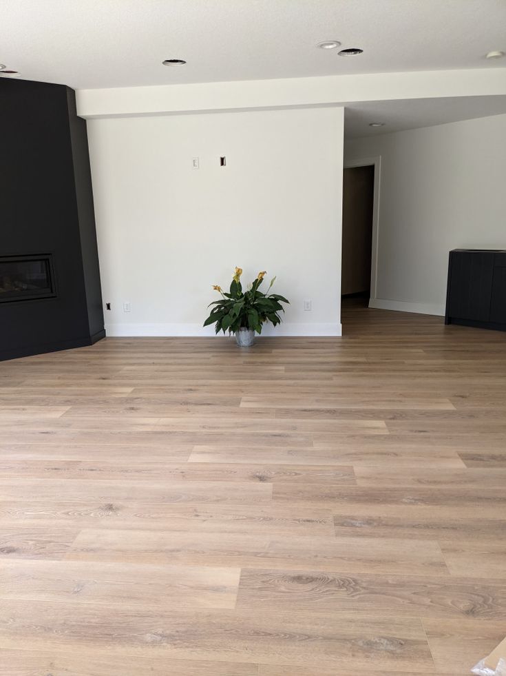 an empty room with a potted plant on the floor in front of a fireplace