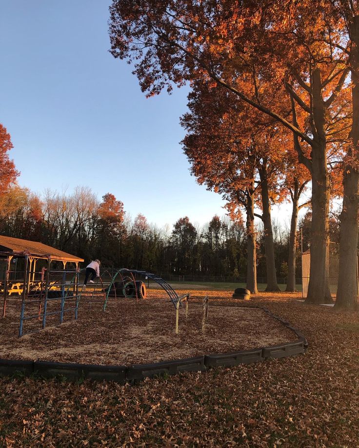 an empty playground in the fall with leaves on the ground and some trees around it