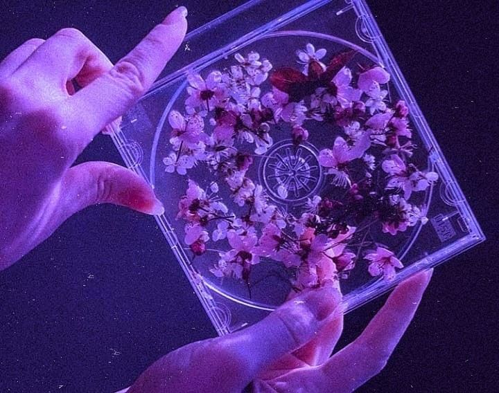 two hands holding a cd with pink flowers on the inside and purple light in the background