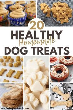 20 healthy homemade dog treats that are easy to make