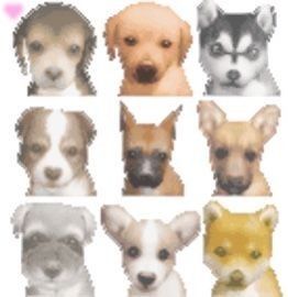 a group of dogs with different colors and sizes on their faces are shown in pixel art style