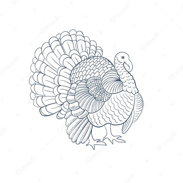 a black and white drawing of a turkey