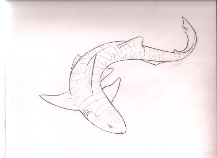 a drawing of two fish in the air